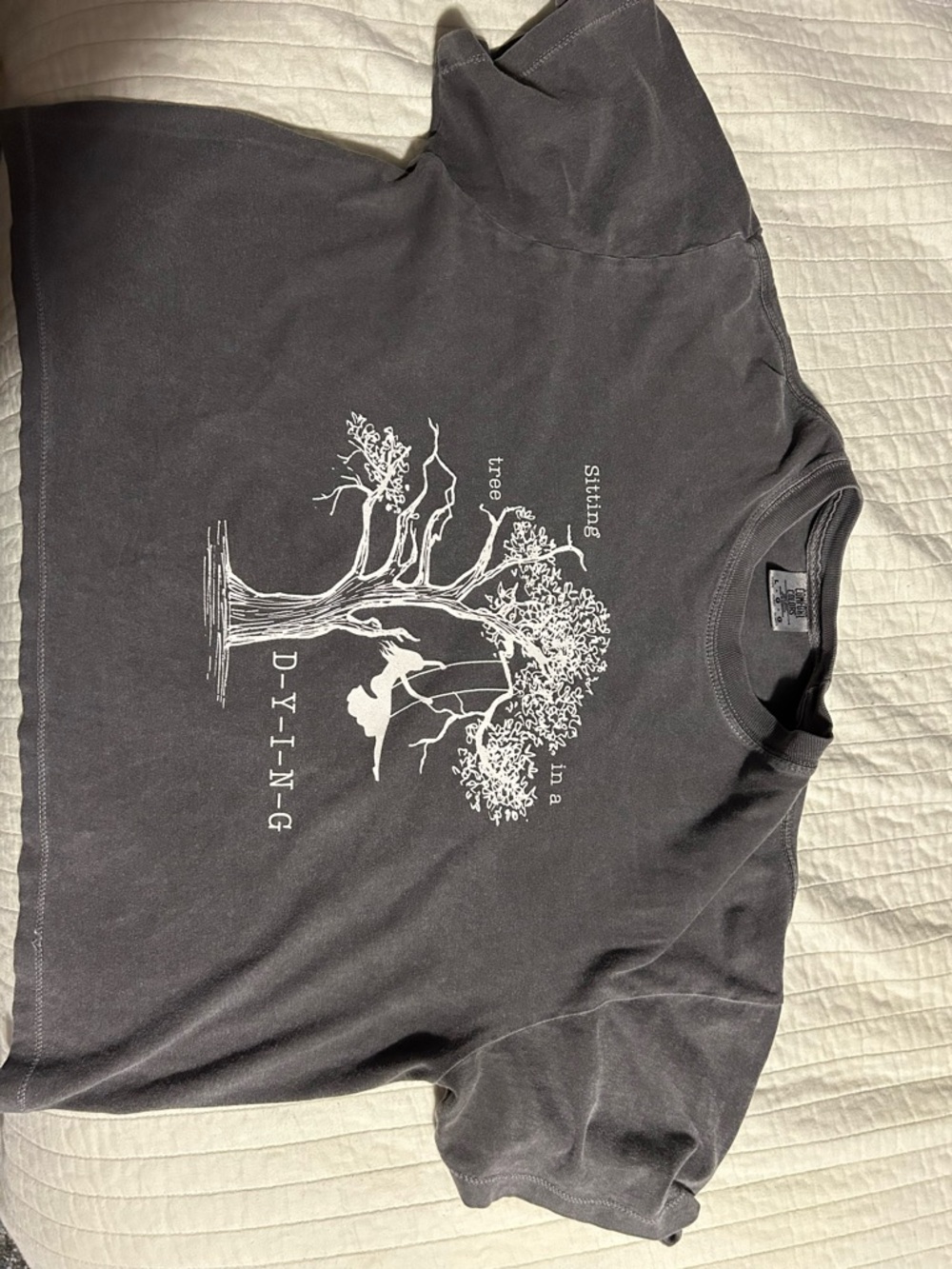 Taylor Swift Comfort Colors Charcoal Short-Sleeve Graphic Tee